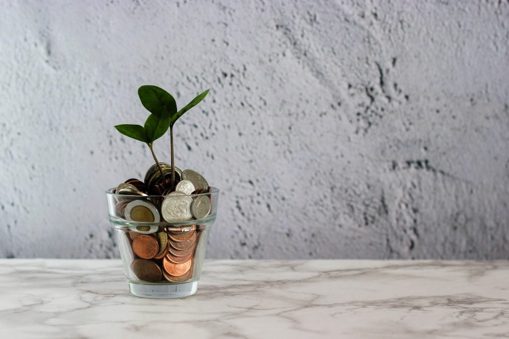 photos representing a money tree